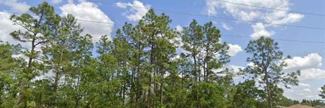 SW 484 Hwy, Lote 6 – foto 2